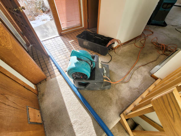 Best 24/7 water damage repair  in Mayodan, NC