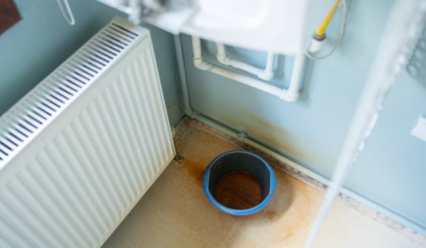Best Sewage cleanup and water damage restoration  in Mayodan, NC