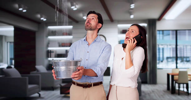 Best Sewage cleanup and water damage restoration  in Mayodan, NC